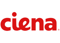 Ciena: Fiscal Q2 Earnings Snapshot
